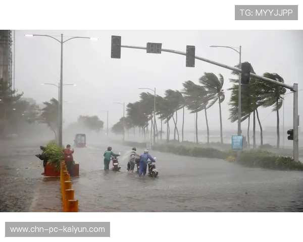气候应对方案成熟助力极端天气应变机制灵活调整创新发展